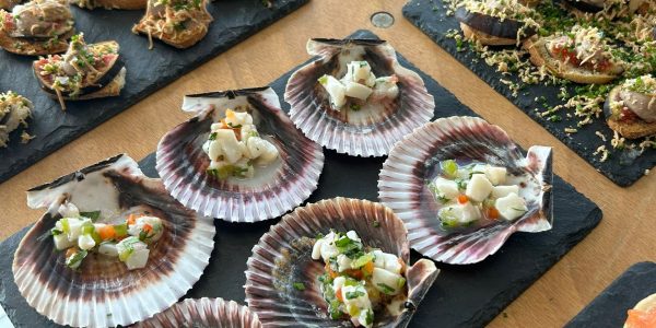 WhatsApp Image 2023-09-22 at 09.49.41