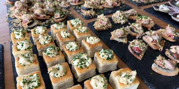 WhatsApp Image 2023-09-22 at 11.00.21