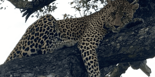 keyloop-south-africa-2_optimized