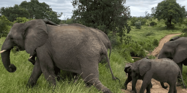 keyloop-south-africa-4_optimized